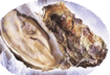 牡蠣肉と牡蛎殻